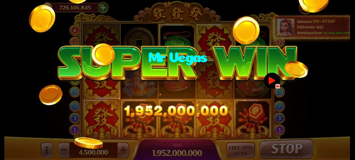 Mr Vegas